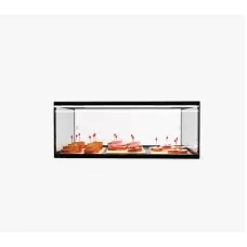 EP25D Glass Ambient Food Display Single Tier 555mm
