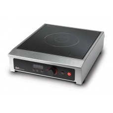 Portable induction cooker with temperature probe