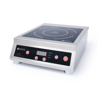 250mm Induction Cooker 3.1Kw