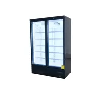 Double Glass Door Black Upright Display Fridge
