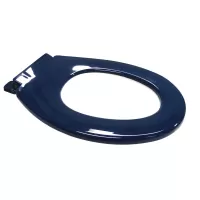 Black Anti Vandal Single Flap Toilet Seat with Closed Front